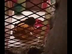 Sexy Bhabi Recorded By Helpless