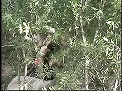 Aberrant Stories Explore Fantasy is a hot erotic story with Jordan Lee an American pornstar with a passion be advisable for hardcore sex and anal scenes with respect to a retro style Discover your wildest fantasies