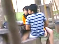 Nonprofessional Desi couple gets recorded while having sex in a woodland